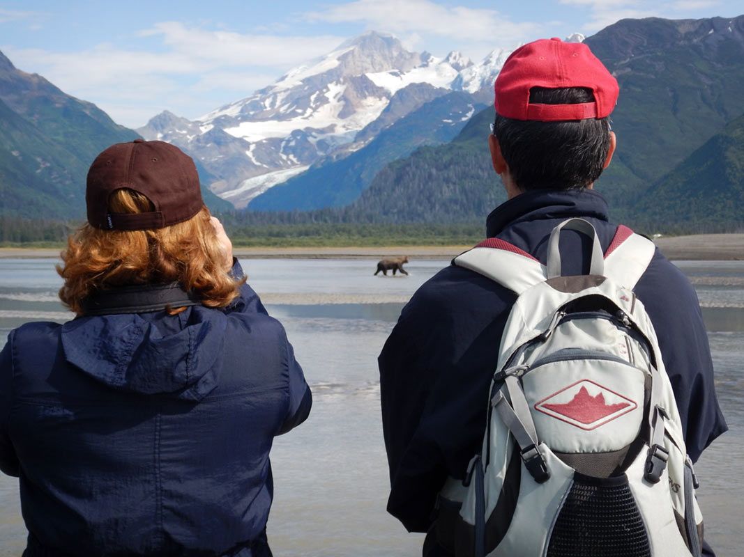 Alaska Bear Viewing