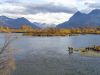 Bear Viewing Katmai