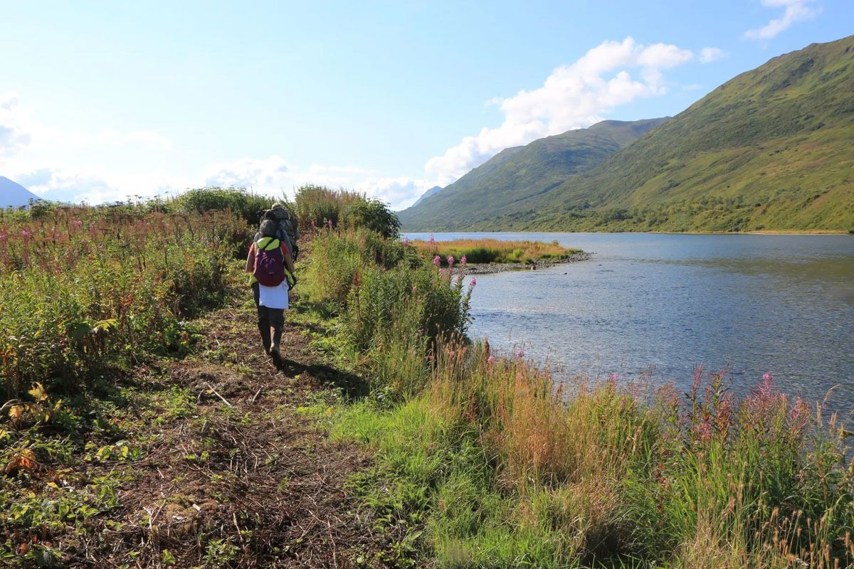 Hiking Karluk Lake Bear Viewing