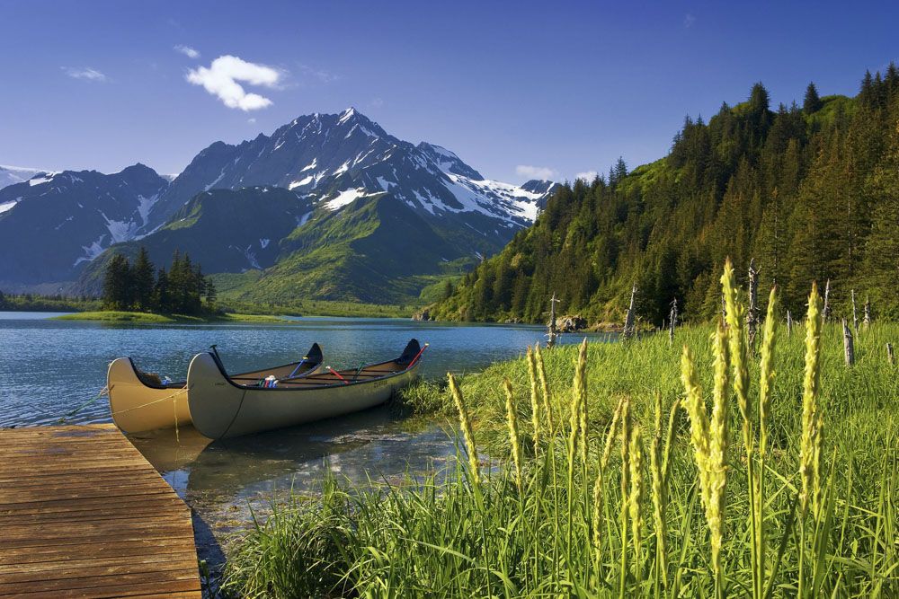Kenai Fjords National Park Tour