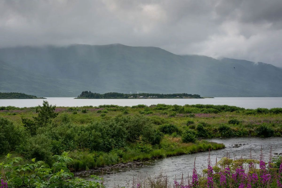 View of Camp Island Kodiak Brown Bear Center
