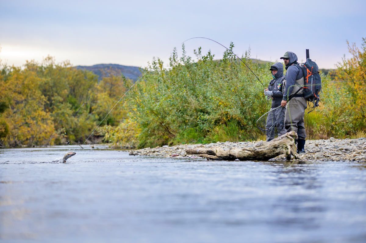 Hooked up fish jumping fly fishing