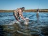 Netting Alaska fish caught fly fishing