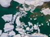 Exploring Alaska's glaciers 