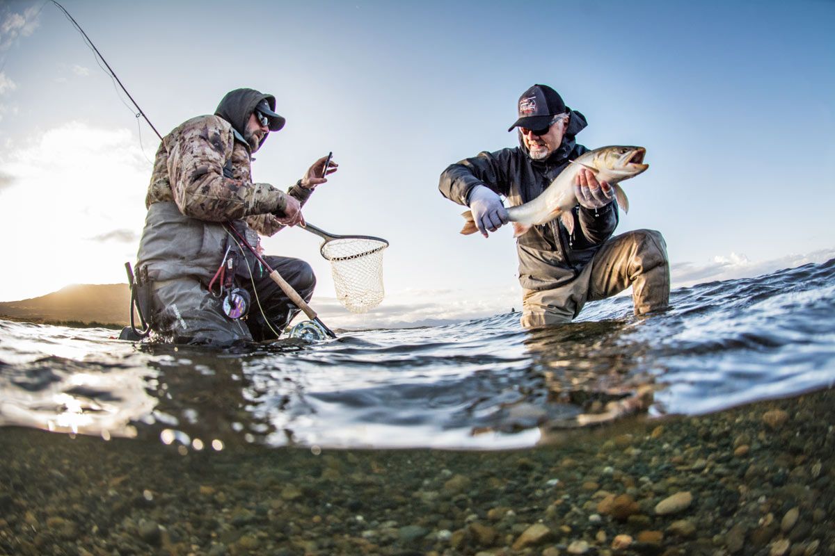 Photographing Alaska fish before release