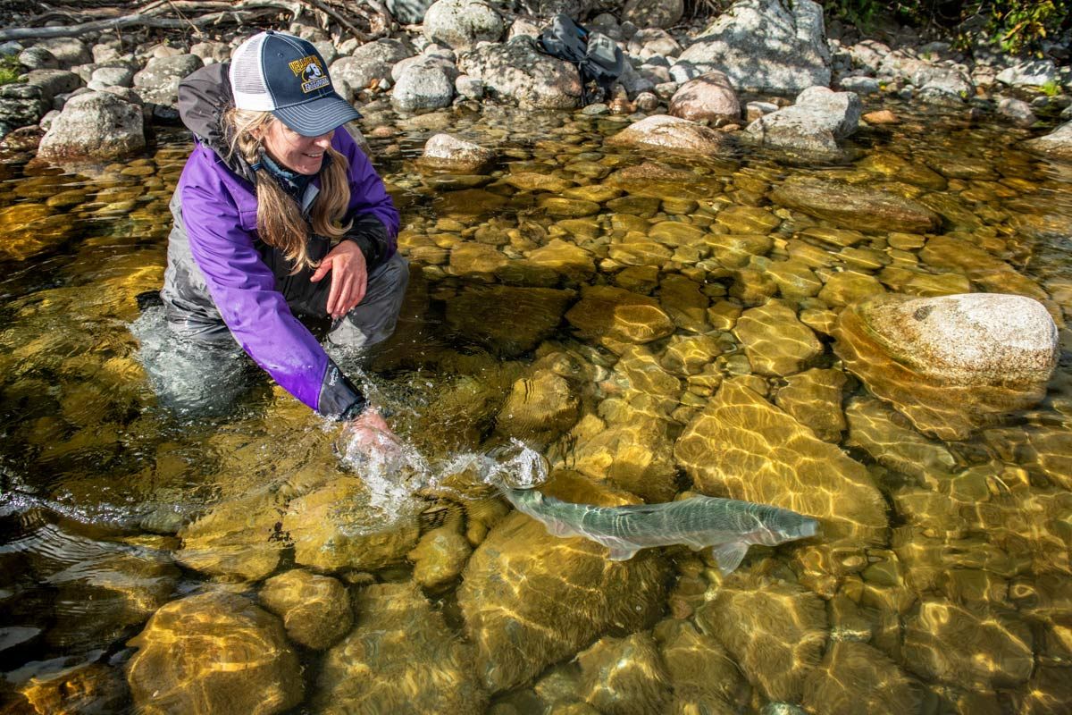 Alaska catch and release fishing