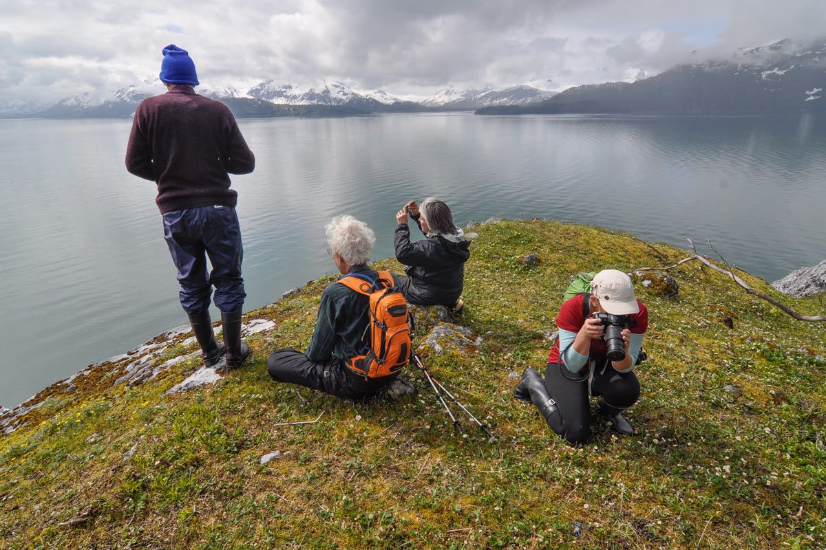Southeast Alaska hiking overlook