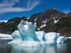 Iceberg in Aialik Bay